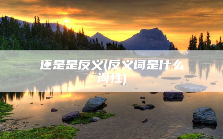 还是是反义(反义词是什么词性)