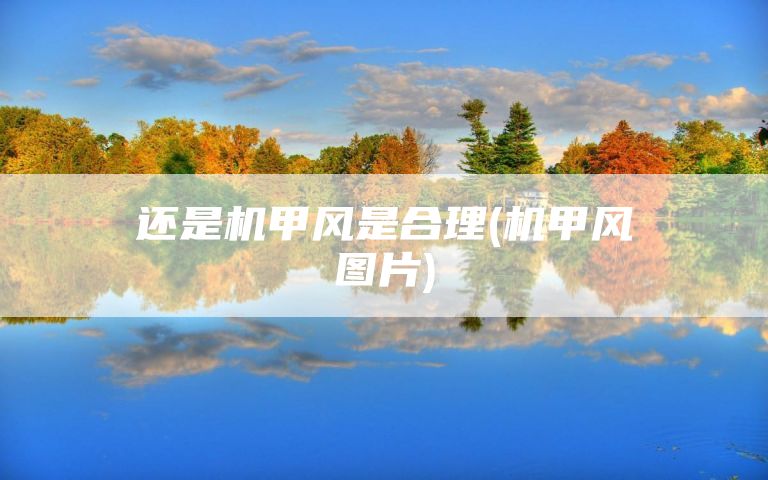 还是机甲风是合理(机甲风图片)