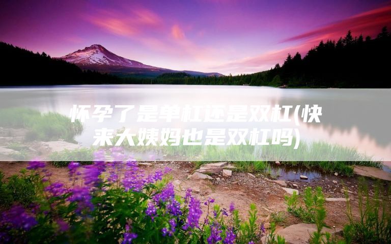 怀孕了是单杠还是双杠(快来大姨妈也是双杠吗)