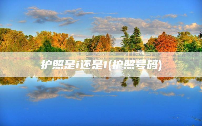 护照是i还是1(护照号码)