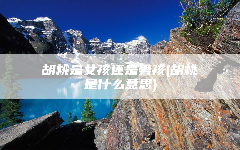 胡桃是女孩还是男孩(胡桃是什么意思)