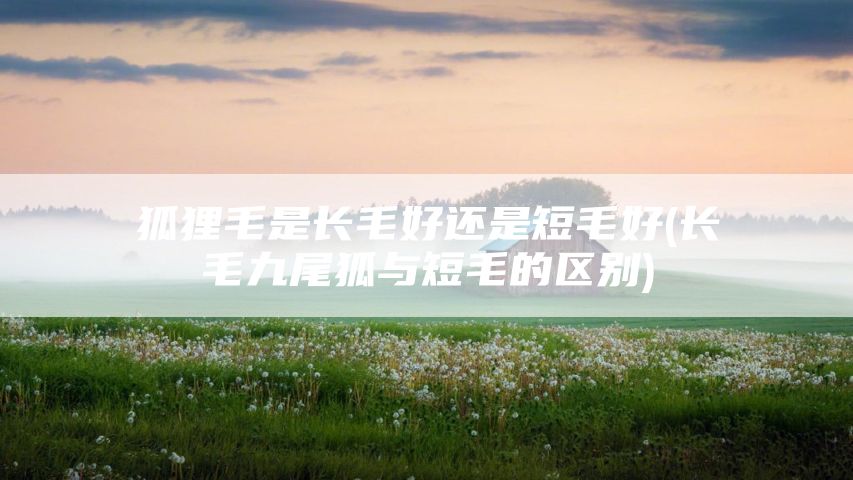 狐狸毛是长毛好还是短毛好(长毛九尾狐与短毛的区别)