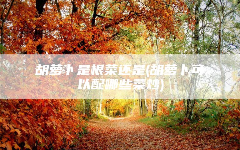 胡萝卜是根菜还是(胡萝卜可以配哪些菜炒)