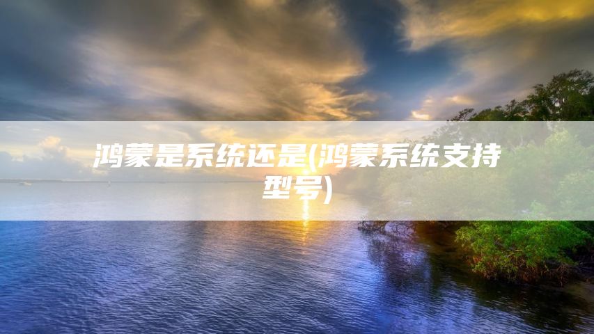 鸿蒙是系统还是(鸿蒙系统支持型号)