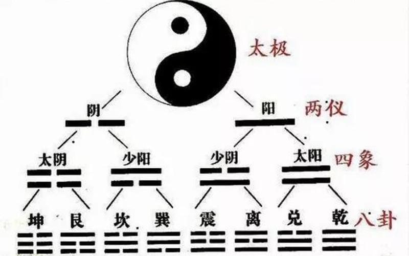 还是阳是阴(属于阴中之阳的是)