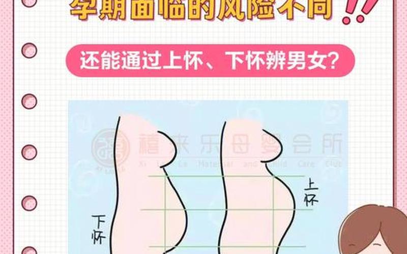 怀孕上怀是男孩还是下怀是男孩(怀男孩和女孩哪个嗜睡)