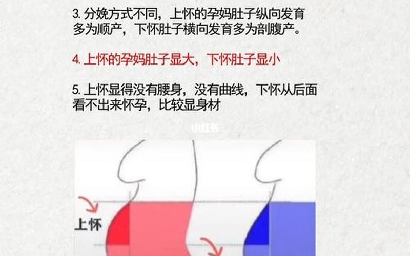 怀男孩是上怀还是下怀(上怀和下怀的肚型图)