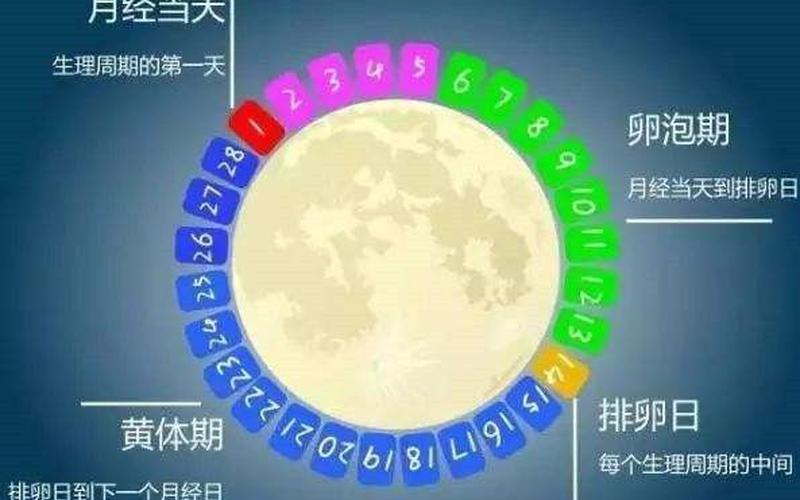 怀孕周期是月经还是排卵(月经不准怎么算排卵期)