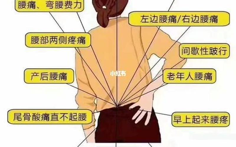 怀孕是腰疼还是腰酸好(腰疼是刚受孕现象吗)