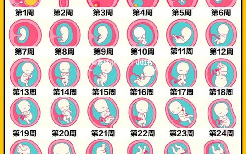 怀孕是意外还是人为(怀孕40天是几周)