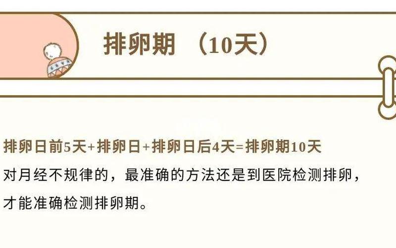 怀孕是在月经前还是月经后(排卵期是什么时候月经前还是月经后)