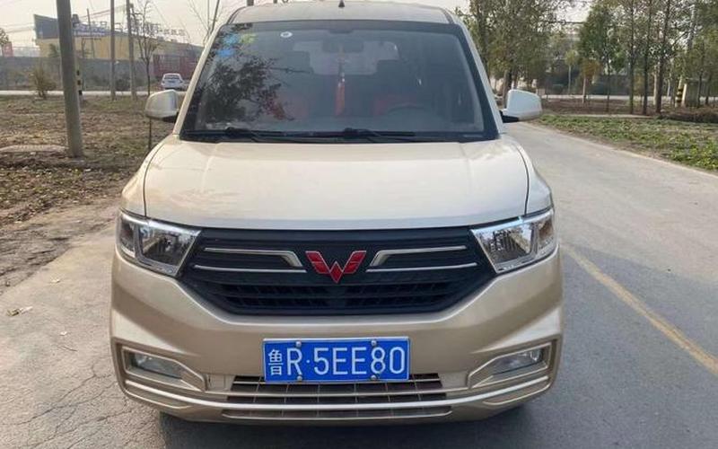 宏光s是前驱还是后驱(五菱宏光有前驱的吗)