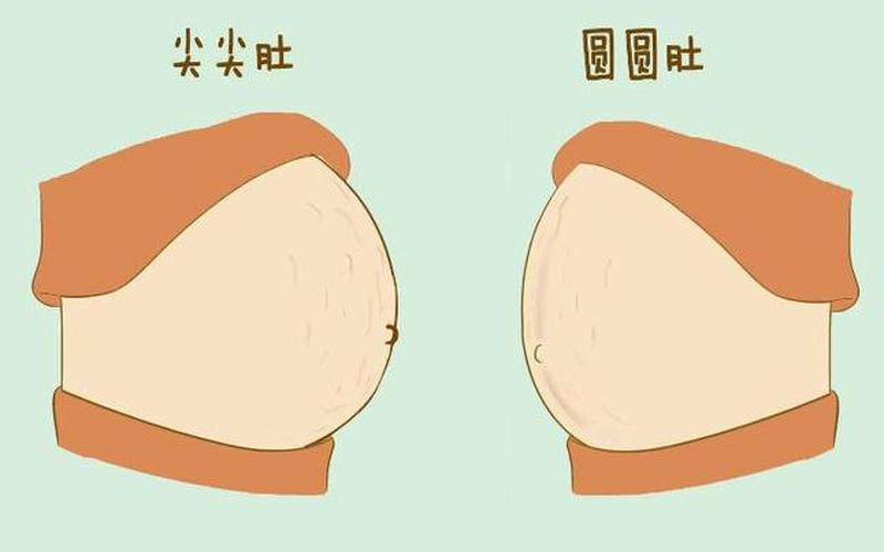 怀孕肚子尖的是男孩还是女孩(尖肚子生男孩的几率)