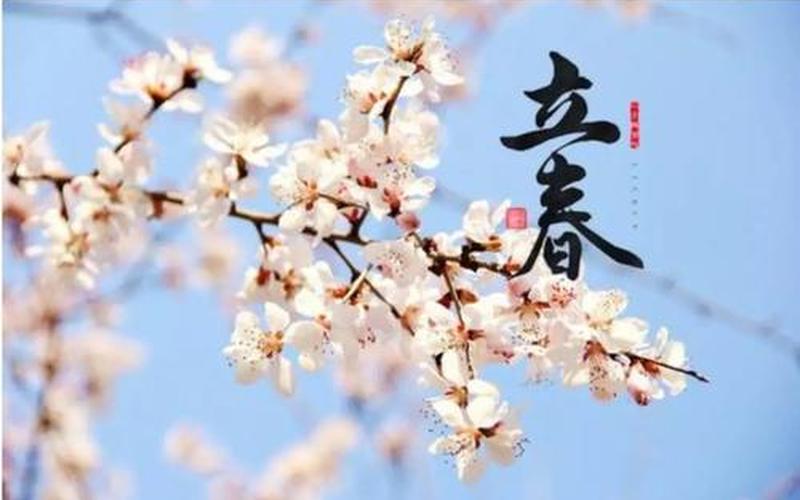 虎年是初一还是立春(大年初一立春在哪个城市拍的)