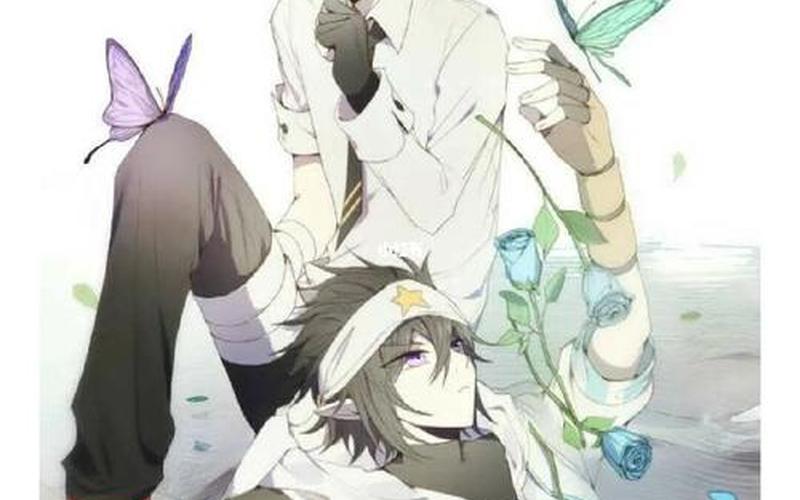 蝴蝶海是漫画还是小说(蝴蝶海是什么书)