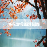11朵玫瑰的花语是什么意思