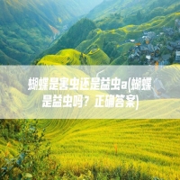 蝴蝶是害虫还是益虫a(蝴蝶是益虫吗？正确答案)