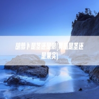 胡萝卜是茎还是根(黄瓜是茎还是果实)
