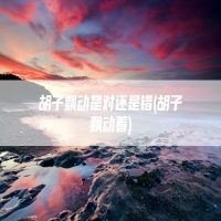 胡子飘动是对还是错(胡子飘动着)