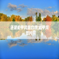 还是机甲风是合理(机甲风图片)