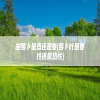胡萝卜是热还是寒(萝卜叶是寒性还是热性)
