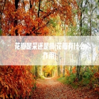 花瓣是采还是摘(花瓣有什么作用)