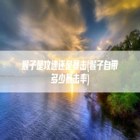猴子是攻速还是暴击(猴子自带多少暴击率)