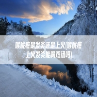 喉咙疼是发炎还是上火(喉咙疼上火发炎能喝鸡汤吗)