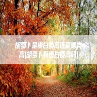 胡萝卜是蛋白质高还是糖类高(胡萝卜有蛋白质高吗)