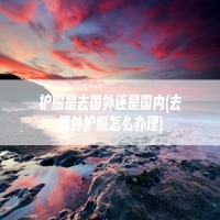 护照是去国外还是国内(去国外护照怎么办理)