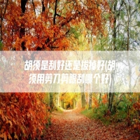 胡须是刮好还是拔掉好(胡须用剪刀剪跟刮哪个好)