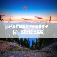还原性是得电子还是失电子(初中还原性怎么理解)