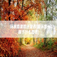 环状图是图还是表(圆环图属于什么图表)