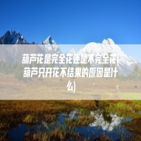 葫芦花是完全花还是不完全花(葫芦只开花不结果的原因是什么)