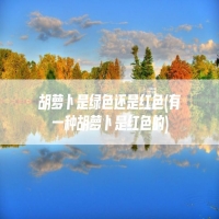 胡萝卜是绿色还是红色(有一种胡萝卜是红色的)