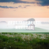 话筒是有线的好还是无线的好(有线转无线话筒)