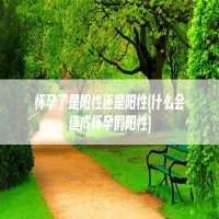 怀孕了是阳性还是阳性(什么会造成怀孕假阳性)