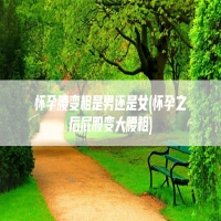 怀孕腰变粗是男还是女(怀孕之后屁股变大腰粗)