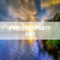 护照是卡还是本子(护照是干什么用的)
