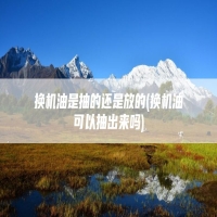 换机油是抽的还是放的(换机油可以抽出来吗)