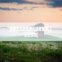 还是左边是姐姐右边是妹妹(工会左姐姐)