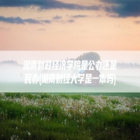 湖南财政经济学院是公办还是民办(湖南财经大学是一本吗)