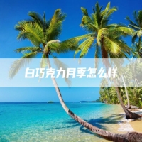 白巧克力月季怎么样