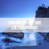 红枣等级是一级好还是三级好(红枣三级品质可以吃吗)