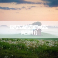 后羿是法术还是物理(ad是法师还是射手)
