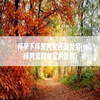 怀孕下怀是男宝还是女宝(怀男宝和女宝的区别)