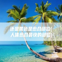 还是黑色是愈合部位(人体愈合最快的部位)