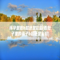 怀孕是做b超还是彩超(看肚子里的孩子b超还是彩超)