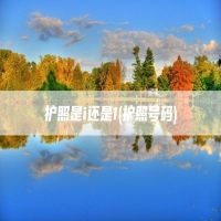 护照是i还是1(护照号码)