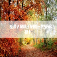 胡萝卜是静还是根(一根胡萝卜)